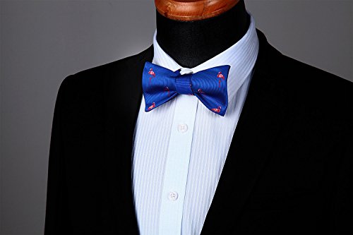 Image of HISDERN Bow Ties for Men Self Tie Animal Bowties Pocket Square Woven Silk Fun Bowtie Handkerchief Set for Wedding Party