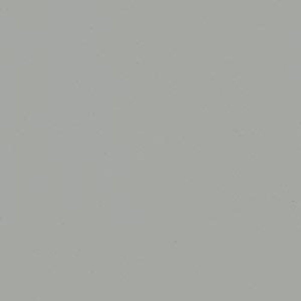 Heavy Duty Anti-Slip Floor Paint (Light Grey) - 5 Litres