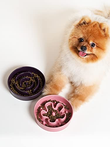 LE TAUCI Hundenapf aus Keramik, Antischlingnapf für Mittelgroße und Kleine Hunde, Langsam Fressen und Spaß für den Hund, Fressnapf mit Rutschfestem Design (Labyrinth Lila, S-350 ml)