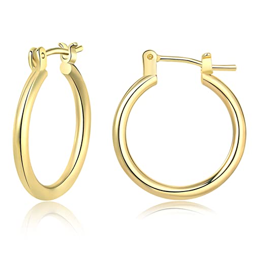 Creolen Silber 925 - Silber Ohrringe Damen 925 - Sterling Silber Creolen - Creolen Gold Große & kleine Ohrringe Hoop Kreis für Mädchen/Jungen - ohrringe nickelfrei damen - silber ohrringe 20mm Cover