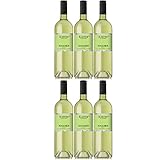 Weingut Kiefer Freche Kaiserstühler Rivaner Weißwein Wein Feinherb Deutschland I Visando Paket (6 x 0,75l)