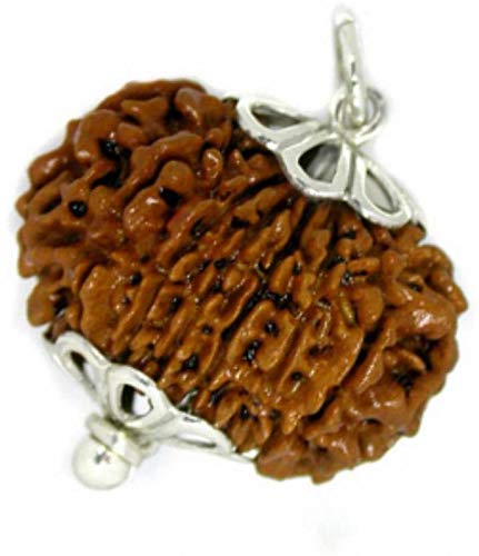 TheGalaxy Fourteen Mukhi|14 Mukhi| Nepali Rudraksha Bead Original Certified with Lab with Silver Pandent for Man and Woman (B07SH3L9J9) Amazon Price History, Amazon Price Tracker