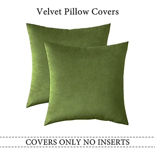 Image of Decorative Holland Velvet Cushion Square Pillow Covers Pillowcases for Sofa Bedroom with Invisible Zipper || (Light Green, Set of 2 Piece (16X16 Inches)