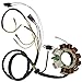 Caltric Stator compatible with Polaris Sportsman 500 1998 1999 2000 2001