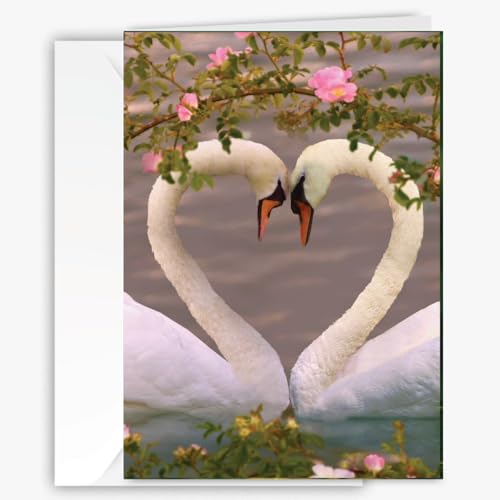Romantic Swans Greeting Card - Blank Inside for All Occasions