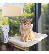 Amazon | petstay キャットホイール 猫 回し車 木製 直径110cm 大型猫