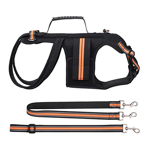 Loobani Dog Back Brace For Slipped Disc, Breathable Back Brace With Handle For Dogs Arthritis & Ivdd, Adjustable Dog Back For Pain Relief, Surgical Recovery And Rehabilitation - S #TOP7