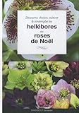  Hellébores: Roses de Noël