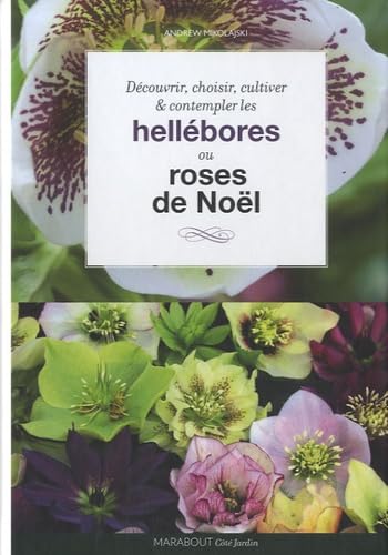  Hellébores: Roses de Noël