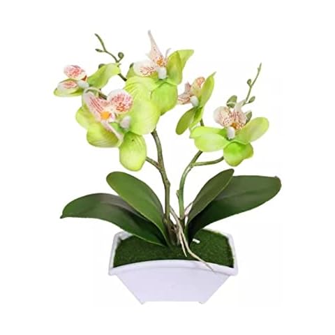 RANRAO Plantas decorativas realistas de imitación de mariposas artificiales Cover