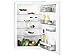 Produktbild Kühlschrank AEG SKB588F1AS Einbaukühlschrank 88cm 142 Liter