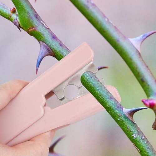 Herramienta para quitar espinas de rosa, color rosa miniatura 7