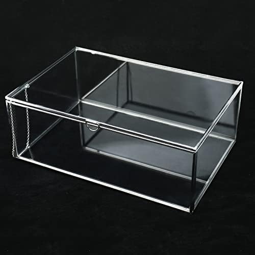Homtone Silver Vintage Glass Lidded Box, Decorative Jewelry Keepsake Display Organizer, Clear Rectangle Box, Rings Bracelet Golden Organizer for Wedding Birthday Party (Large-Silver)