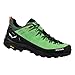 Produktbild Salewa Herren Alp Trainer 2 GTX Multisportschuhe Schwarz/Grün 9