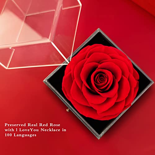 Colar de rosa real eterna preservado feito à mão com amor a você conjunto de presentes de 100 idioma
