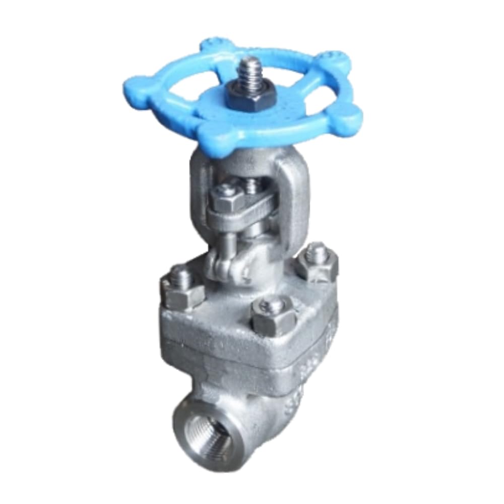 AF Hydro Stainless Steel SS316 Gate Valve, 3/4