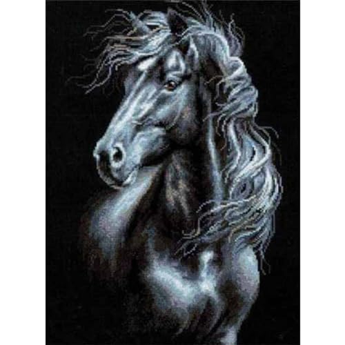 Image of WOWDECOR Stamped Cross Stitch Kits for Adults Beginners, Pre Printed Dark Horse 11ct 30x40cm Pattern DIY Embroidery Starter Kit Needlework Set