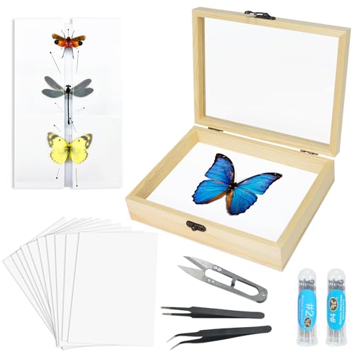 Making Insect Specimen Tools Kit, (Insect Pins, Insect Shadow Box, Insect Pinning Board, Wings Pressing Paper, Tweezers, Scissors), Insect Specimen Collection Display for Bug Hobbyist/Biology Projects