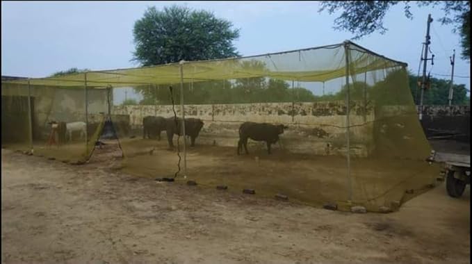 Mosquito Net HDPE Animal Mosquito Nets for Cow and Buffalo, Mosquito Net Cow Shed | Multicolour | Used Also Protect The Fruit and Vegetables | Size:- (30 x 20) (B0DBHJYY4P) Amazon Price History, Amazon Price Tracker