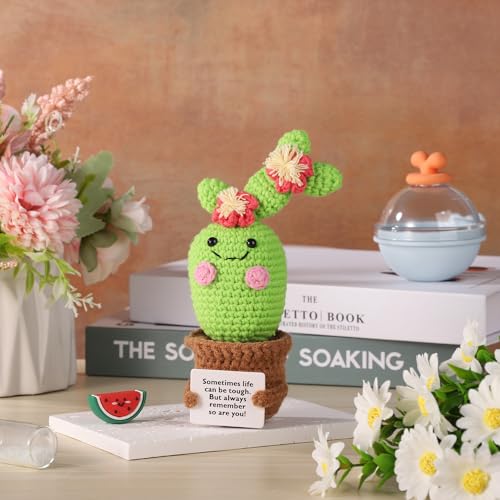 lasuroa Positive Cactus Crochet - Image 4
