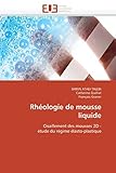 rheologie der kunststoffe pdf  Rhéologie de mousse liquide: Cisaillement des mousses 2D - étude du régime élasto-plastique (Omn.Univ.Europ.)