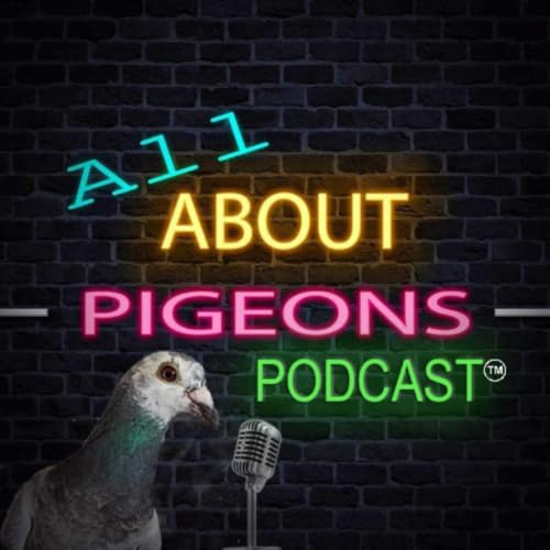 144. Archangel Pigeons: History, Breeding, Colors, and Care with Mike Temple