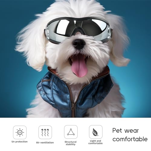 Dellyy Hundebrille für Mittelgroße Hunde, UV-Schutz Sonnenbrille, Verstellbar (Schwarz)