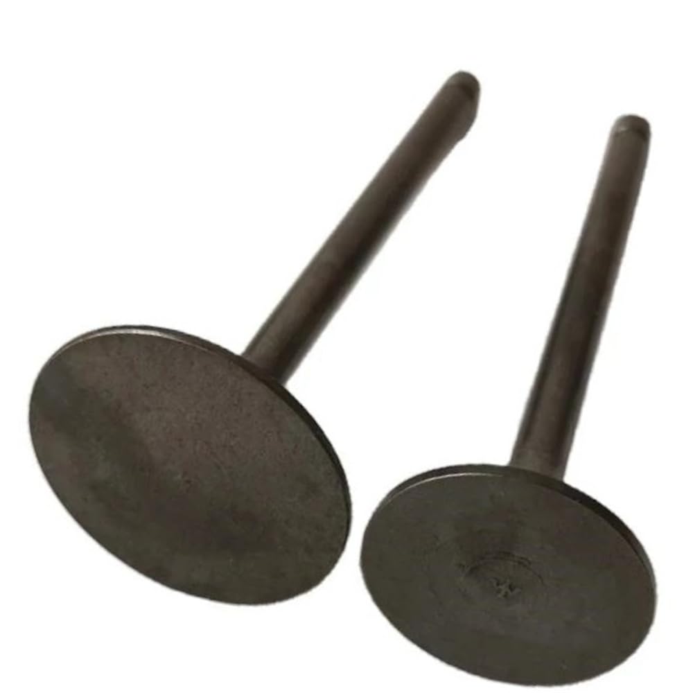 Intake Valve Fit for Lh 400 Engine Part 27223 27222