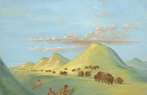 Cuadro de lienzo de George Catlin, el mural ideal de 60x90cm para transformar tu dormitorio