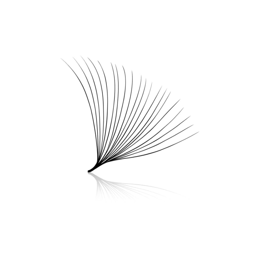 20D 0.03 Promade Fans (Box Of 500) Lash Extensions (14mm C Curl)