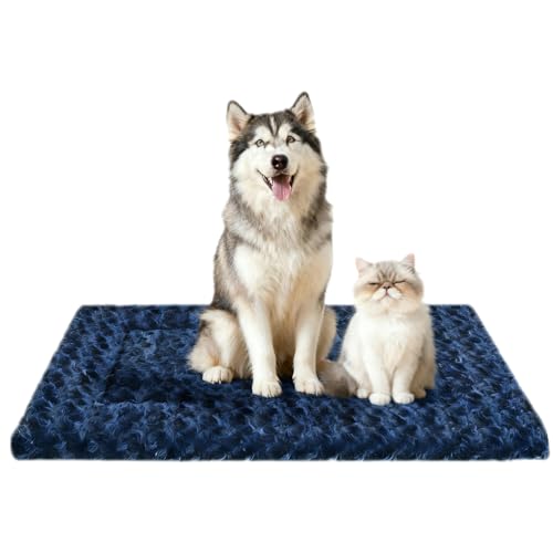 pN[gxbhpbh ? ^A^A^p̃o[Vut[X}bg ? \tgŐ\Ȋ~ߌpxbh}bg P[Wƌp ? Kőϋv̂錢pX[sOpbh