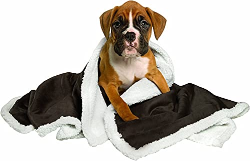 Image of Petslover Blanket for Dogs Cats, Warm Flannel Plush Pet Bed Blanket Reversible Black (Small)