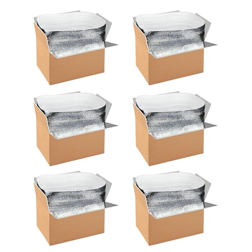 Image of YSSOA 6 Pack Insulated Shipping Boxes with Aluminum Foil Liner,Thermal Insulation Cold Pack Shipping Boxes for Frozen, Reusable Styrofoam Cooler Box, Small Mailing Box, 12''x10''x7''