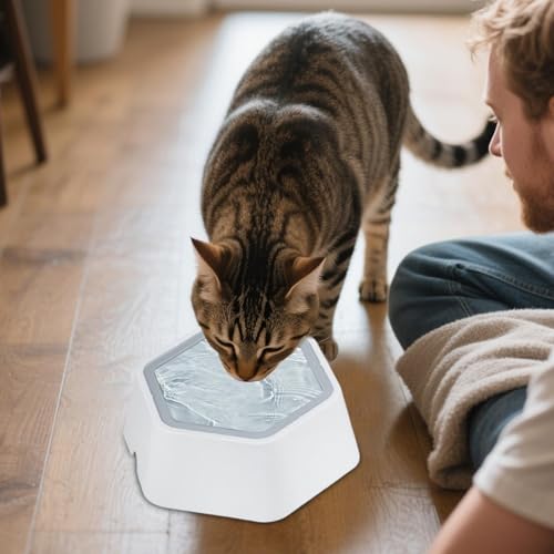 Bac flottant pour chiens avec disque régulateur de niveau 800 ml - 8