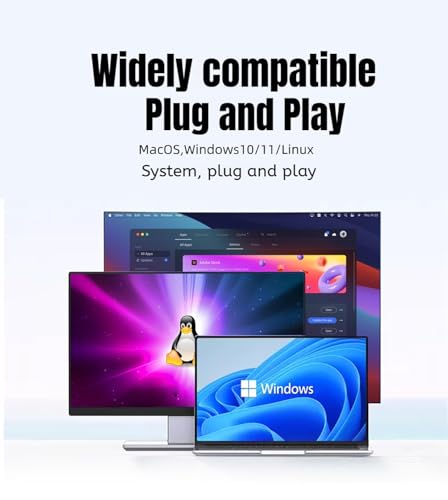 4K Mini DP Dummy Plug Display Emulator compatible con Windows Mac OSX Linux miniatura 7