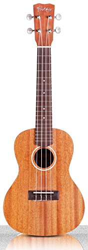 Protege By Cordoba U100Cm Concert Ukulele Bundle (Amazon Exclusive) #TOP1