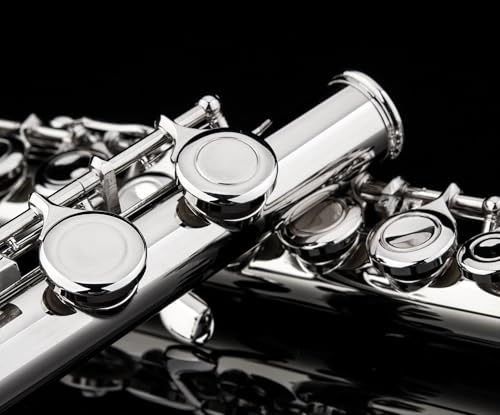 Image of Glory Closed Hole C Flute With Case, Tuning Rod,Joint Grease and Cloth, Gloves, Nickel Siver