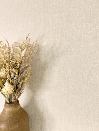 NEWROOM Papier peint Beige Couleur Unie Intissé - Moderne Structu...