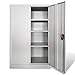 Festnight Floor Cabinet Storage with 2 Doors & 3 Adjustable Shelves for Office Decor Steel Gray 35.4