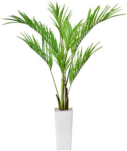 Amazon Doris 人工観葉植物 光触媒 簡単世話いらず 水やり不要 フェイクグリーン プラム 人工観葉植物 オンライン通販