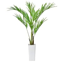 Amazon｜DORIS ドリス 人工高さ約107cm 簡単世話いらず 水やり不要