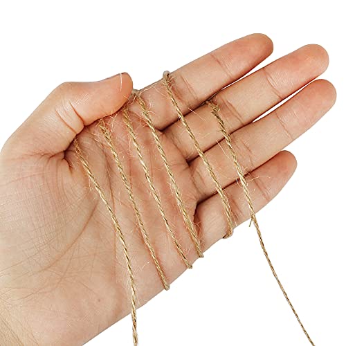 Shintop 656 Feet Natural Jute Twine, 2ply Hemp String Brown Garden Twine for Crafts Gift Wrapping
