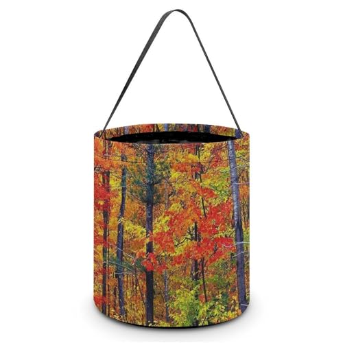 �n���E�B�� �L�����f�B�o�X�P�b�g �H������ �����t�̍g�t �L�����f�B�� ���َq �R���e�i ��񂰑� �y�� ������p�[�e�B�[�L�O�i �v���[���g ���O�W��p