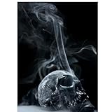  Dragon Pack [Explicit]