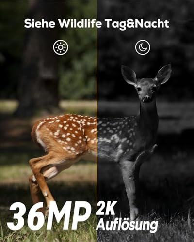 iZEEKER Wildkamera Ohne WLAN, Wildtierkamera mit 940nm No Glow Infrarot LEDs, Wildkamera mit...
