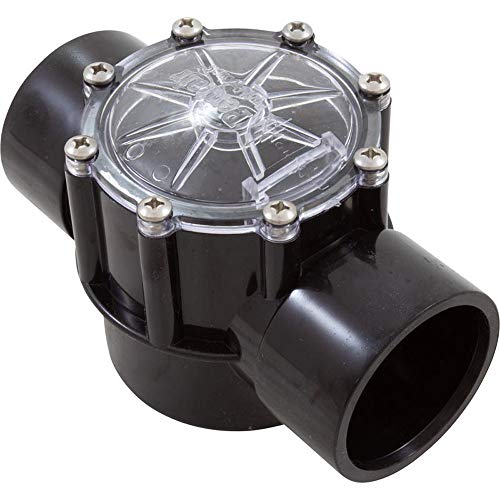 Pentair 263042 Check Valve CPVC for Pool Pumps, 2 Port Straight