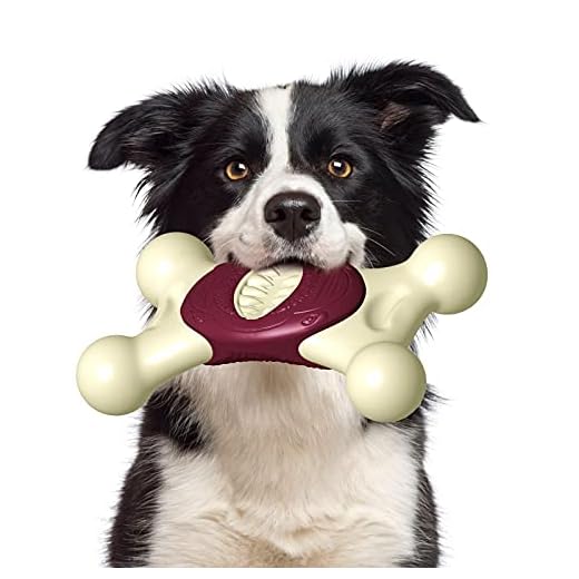 FRLEDM Dog Chew Toy for Aggressive Chewers-Indestructible Dog Toys Real Bacon/Beef Flavored,Nylon Durable Dog Teething Chew Toys Bones for Large/Medium/Small Puppies
