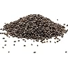 Cinnamon Basil Seeds for Planting Heirloom Non GMO Packets 750 Seeds Plant & Grow Cinnamon Basil Indoor Hydroponics or Outdoor Gardening, Great Gardening Gift 1 Packet, Purple