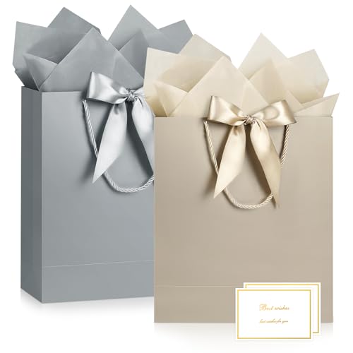 Image of JMANNI Gift Bag, 2PCS Gift Bags with Ribbon and 2 Greeting Cards 4 Tissue Paper, Portable Paper Gift Bag with Handles, Birthday Gift Bags,Present Bags for Wedding Party Mothers Day (Champagne silver)