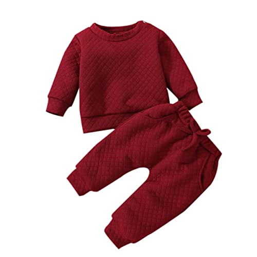 Fall Outfits For Toddler Girl Sweatsuit Boy Fleece Knit Sweater Top Pants Winter Knitted Baby Outfits Xmas Holiday Kids Casual Autumn Clothes Infant Christmas Outfit Wine Red Diamond 12-18 Months #TOP8